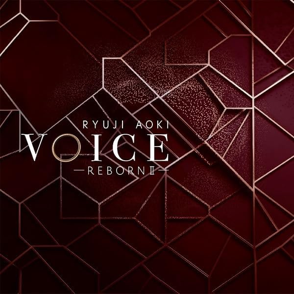 Amazon.co.jp: VOICE 199X(仮) 初回盤 - 青木隆治 (DVD付): ミュージック